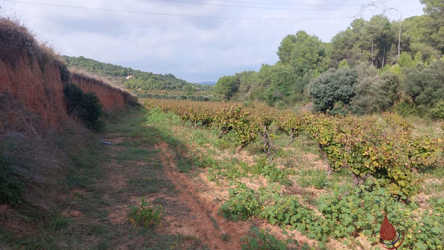 Residential zum verkauf in MAJOR, Albinyana