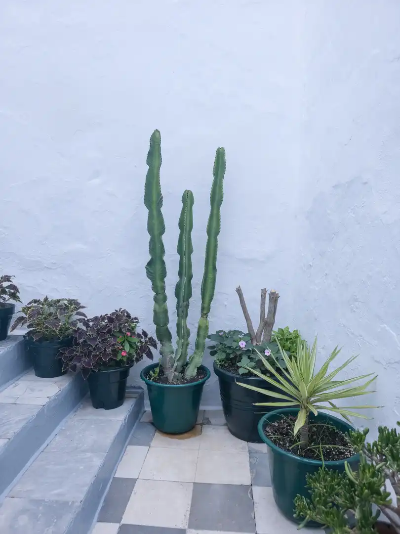 Apartment for sale in Vejer, imagen 33