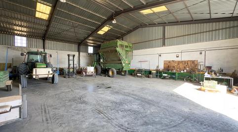 Photo 4 of Industrial buildings for sale in Torre Cruz - Los Molinos, Sevilla