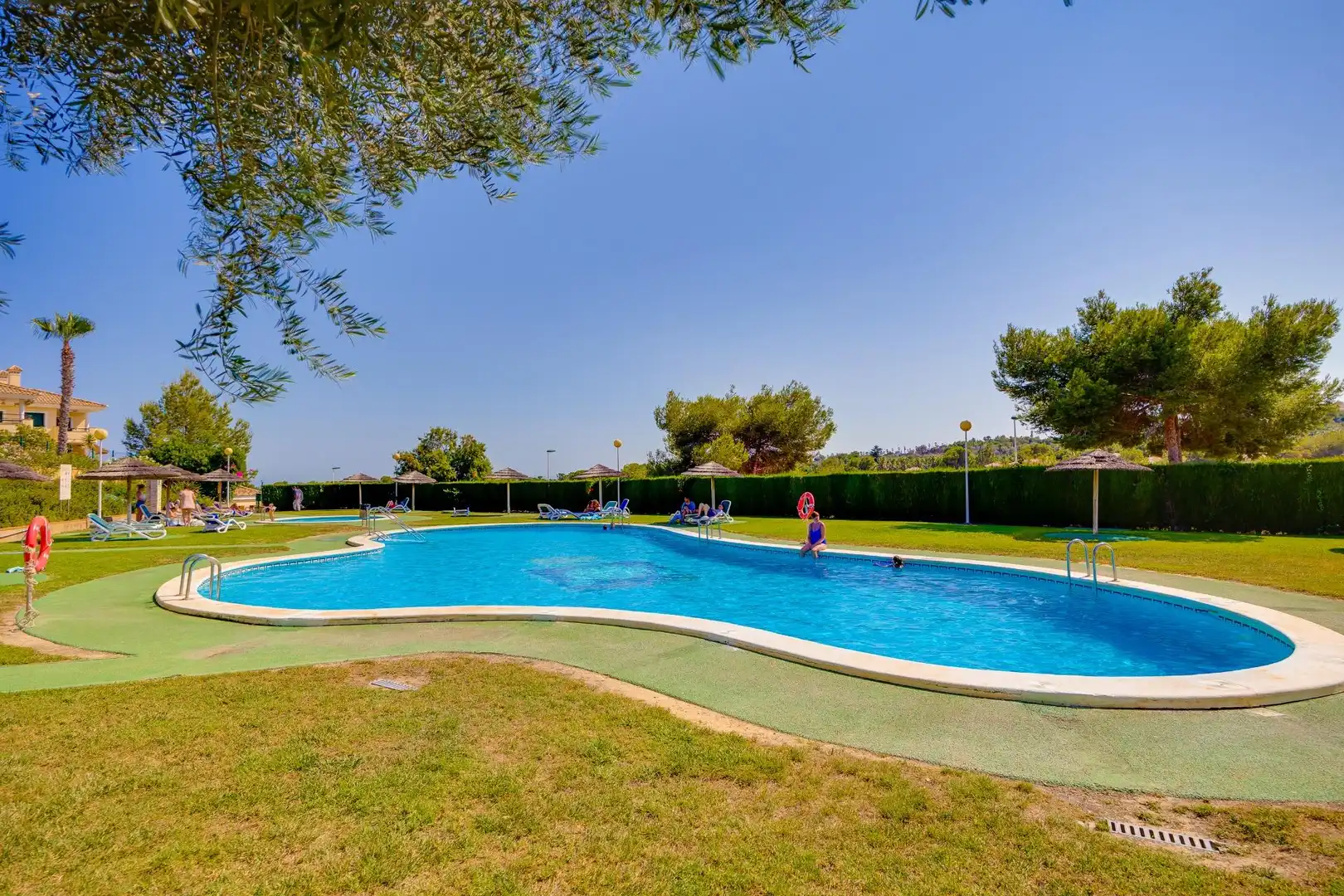 Mini appartamento con terrazza in affitto a Campo de Golf Lomas de Campoamor, imagen 45
