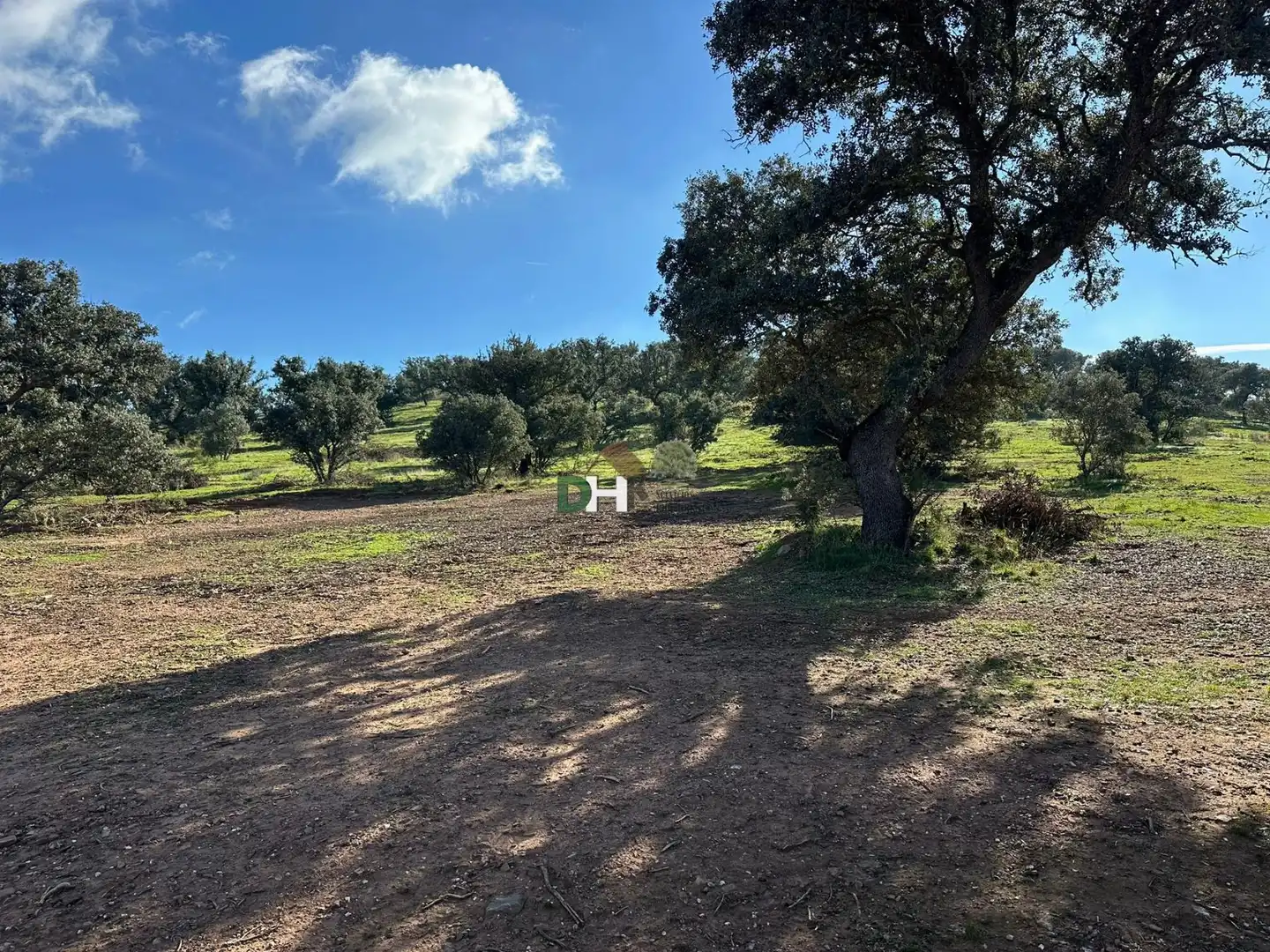 Terreni e lotti in vendita a Carretera de Sevilla - Los Montitos, imagen 8