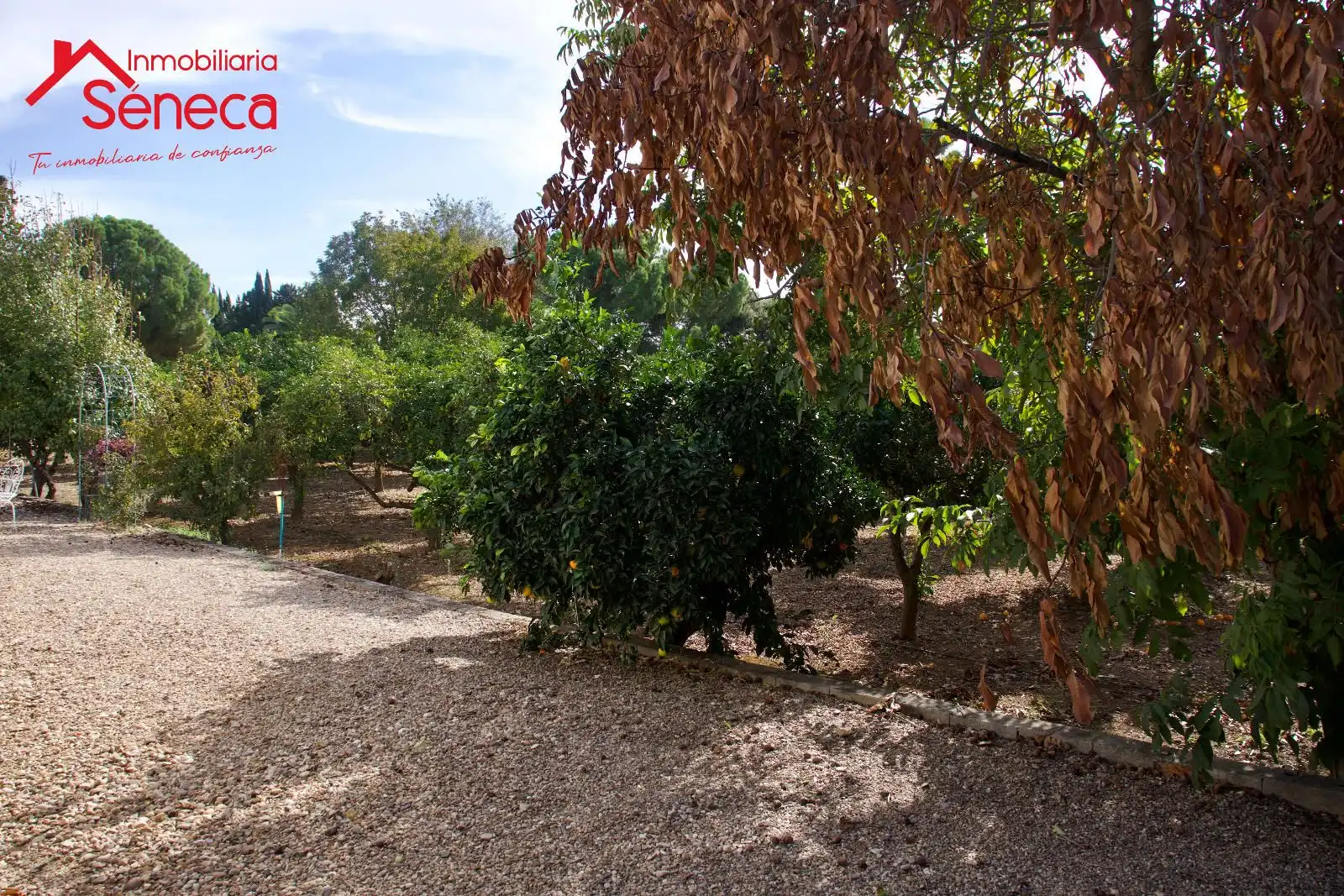 Jardí de Casa o xalet en venda en Córdoba amb Aire condicionat, Calefacció i Traster