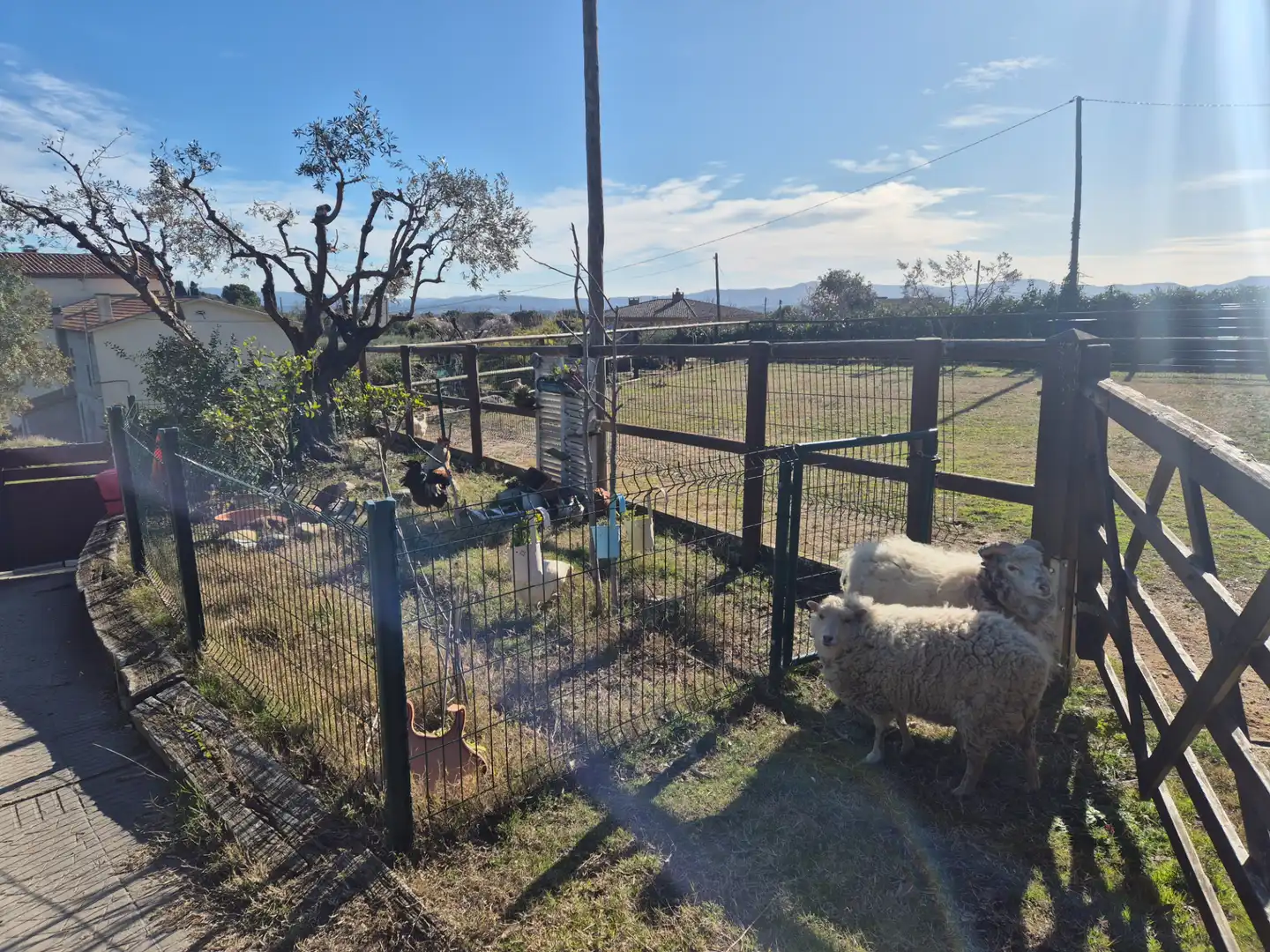 Vista exterior de Finca rústica en venta en Santa Eulàlia de Ronçana con Aire acondicionado, Calefacción y Jardín privado