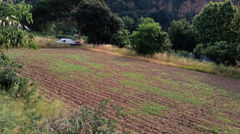 Foto 3 de Terreno en venta en Polígono Polígono 10 Parcela 38 el Castell. Castel, 38, Can Font - Ca n'Avellaneda, Castellar del Vallès