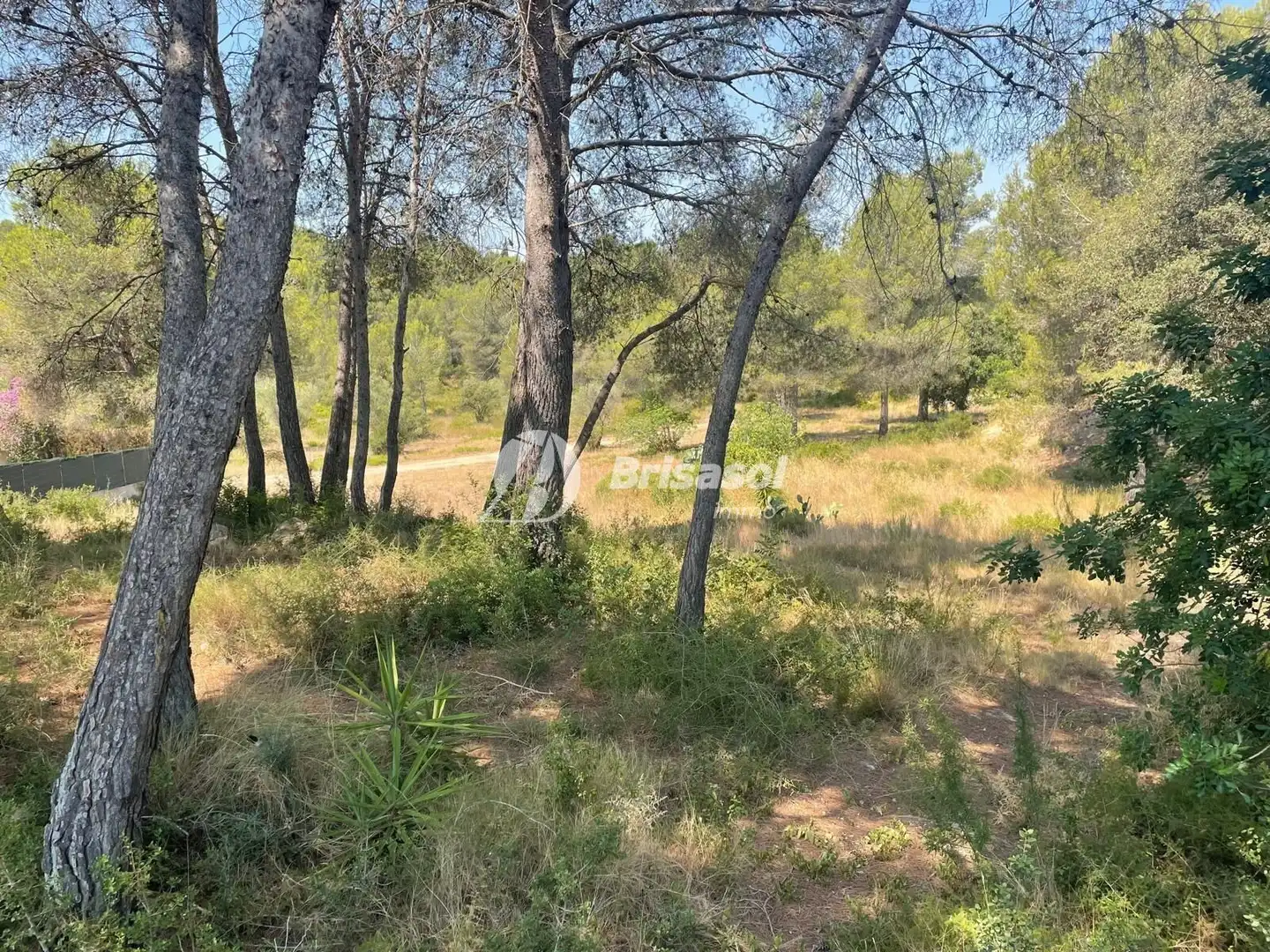 Terrenys i solars en venda a El Catllar, imagen 3