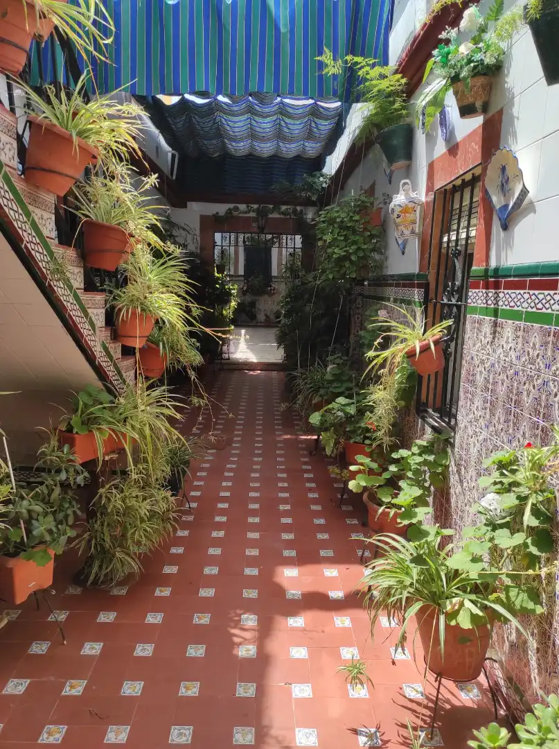 Edifici en venda en Chipiona amb Alarma