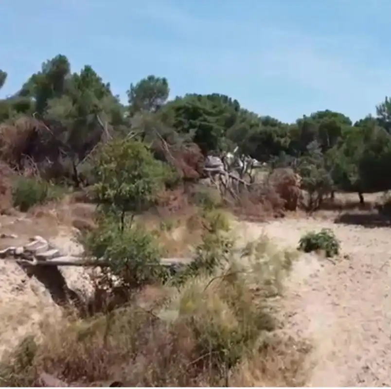 Terreny residencial en venda a Camino Huerto, imagen 6