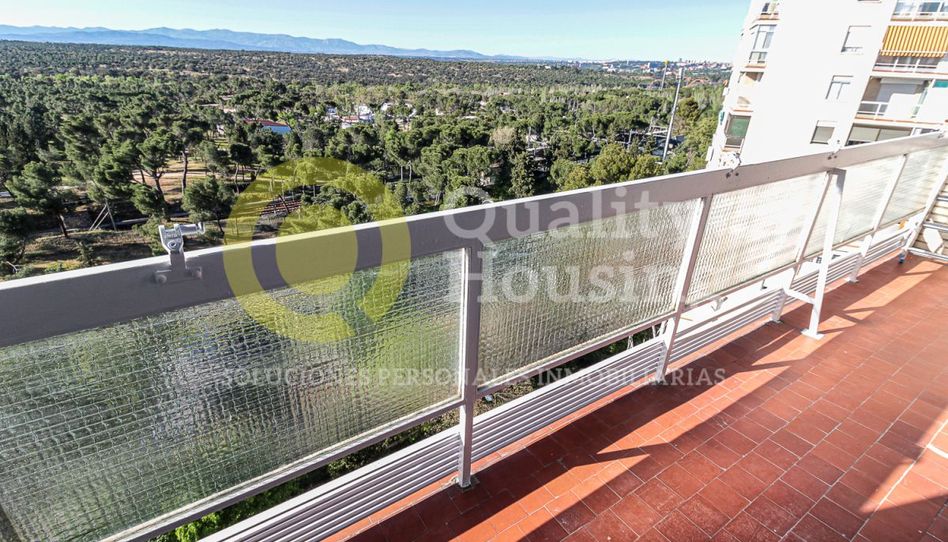 Estudio de alquiler en Lucero - Imagen 2