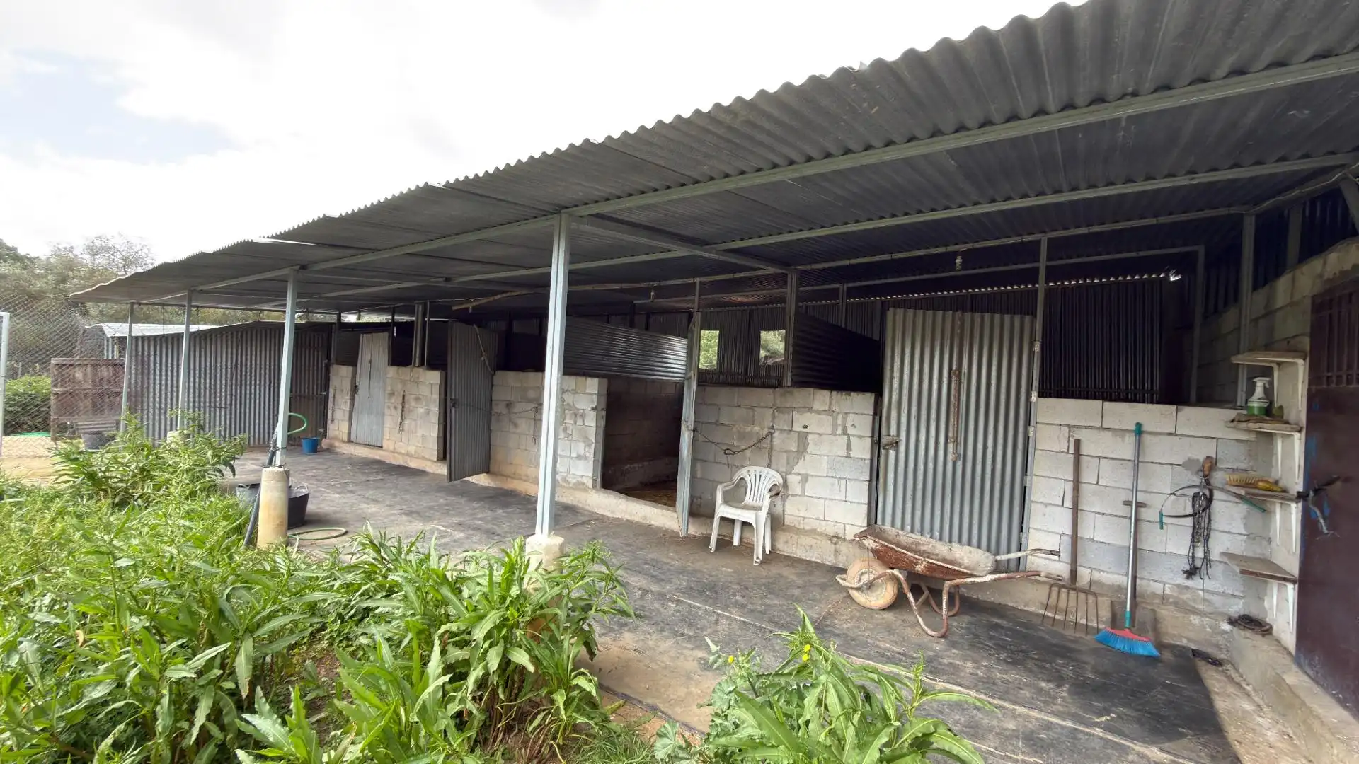 Vista exterior de Finca rústica en venta en Punta Umbría