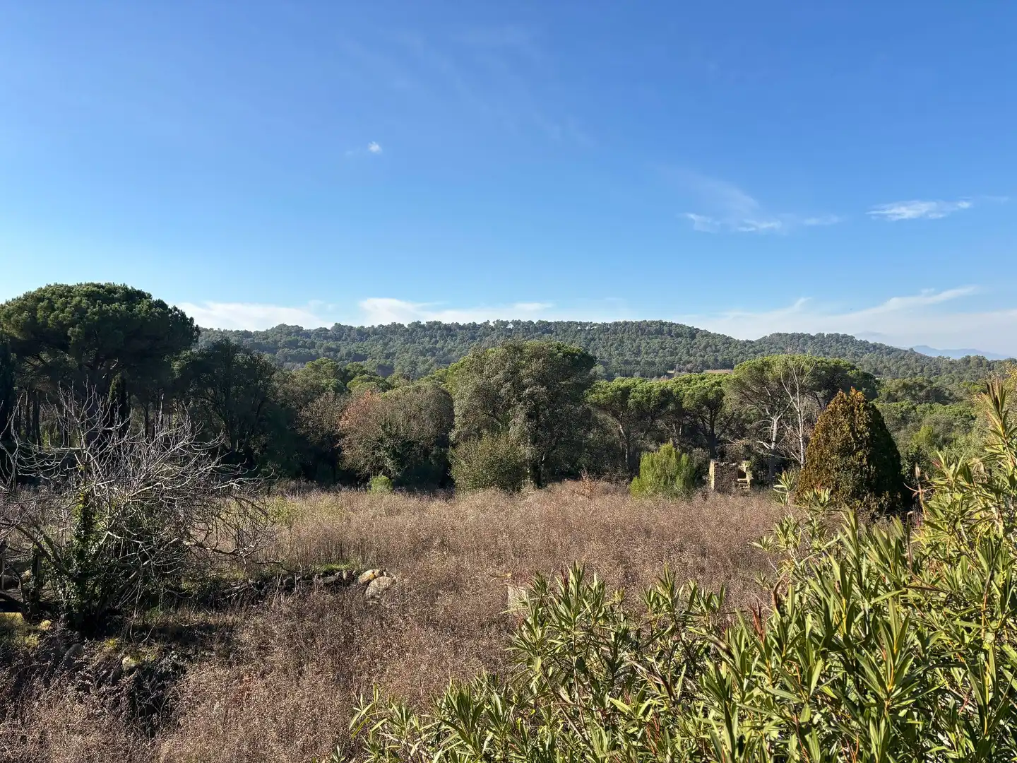 Finca rústica en venta en La Pera con Jardín privado, Trastero y Piscina