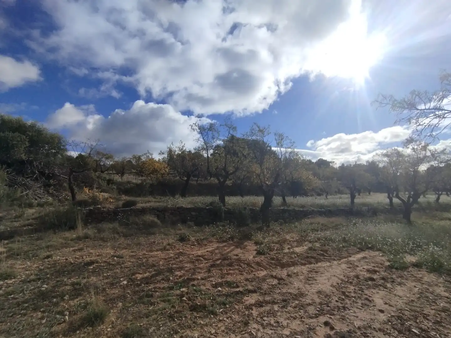 Terreni e lotti in vendita a Ráfales, imagen 6