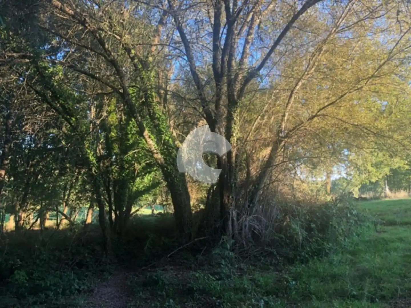 Terreni e lotti in vendita a Nogueira de Ramuín, imagen 42