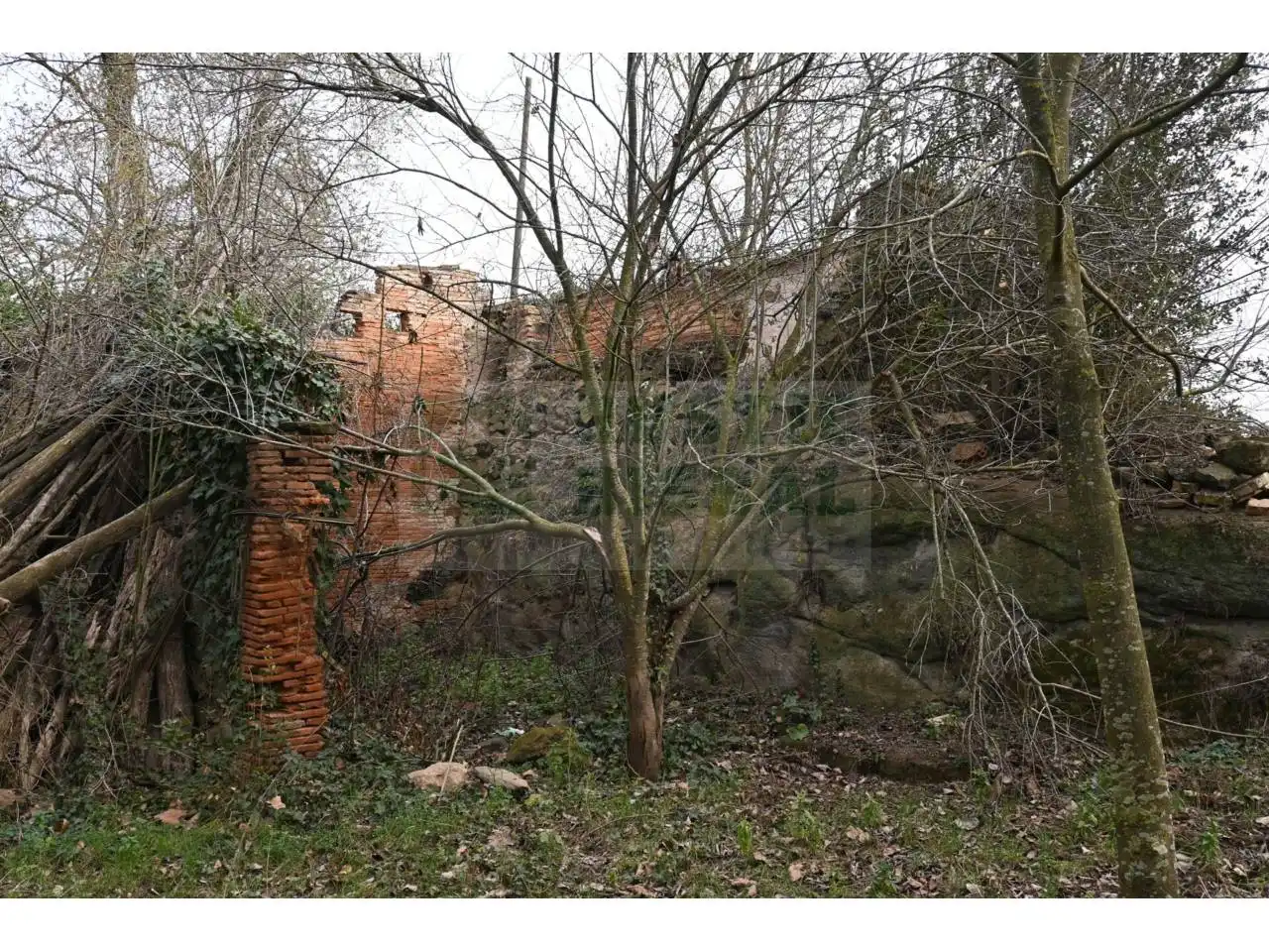 Finca rústica en venta en La Pera