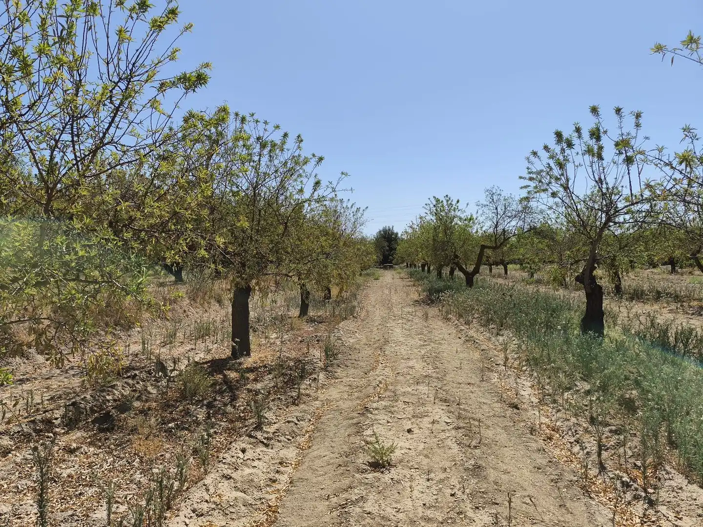 Rural land for sale in 2C55+9GC Cozvijar 0, imagen 12