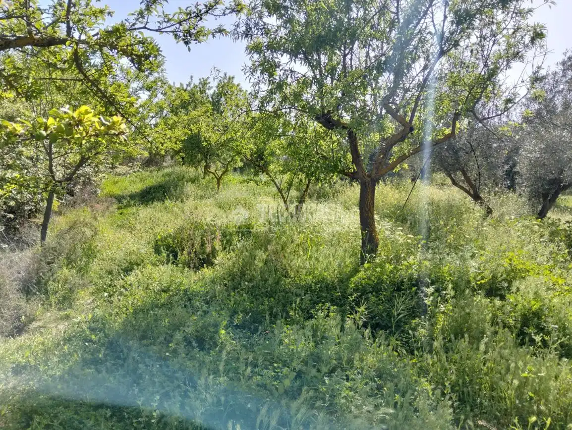 Rural land for sale in Dúrcal, imagen 28