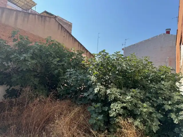 Terreno residencial en venta en Carrer de Marià Benlliure 25, imagen 15