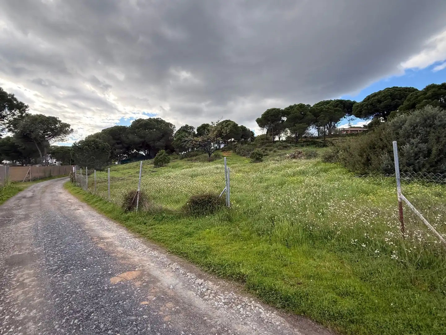 Terrenos y solares en venta en Las Palmillas, imagen 7