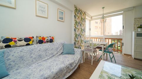 Photo 2 of Study for rent in Campoamor, Orihuela