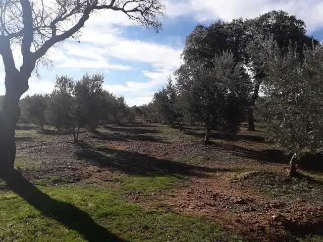 Terreny residencial en venda a Villanueva del Duque, imagen 7
