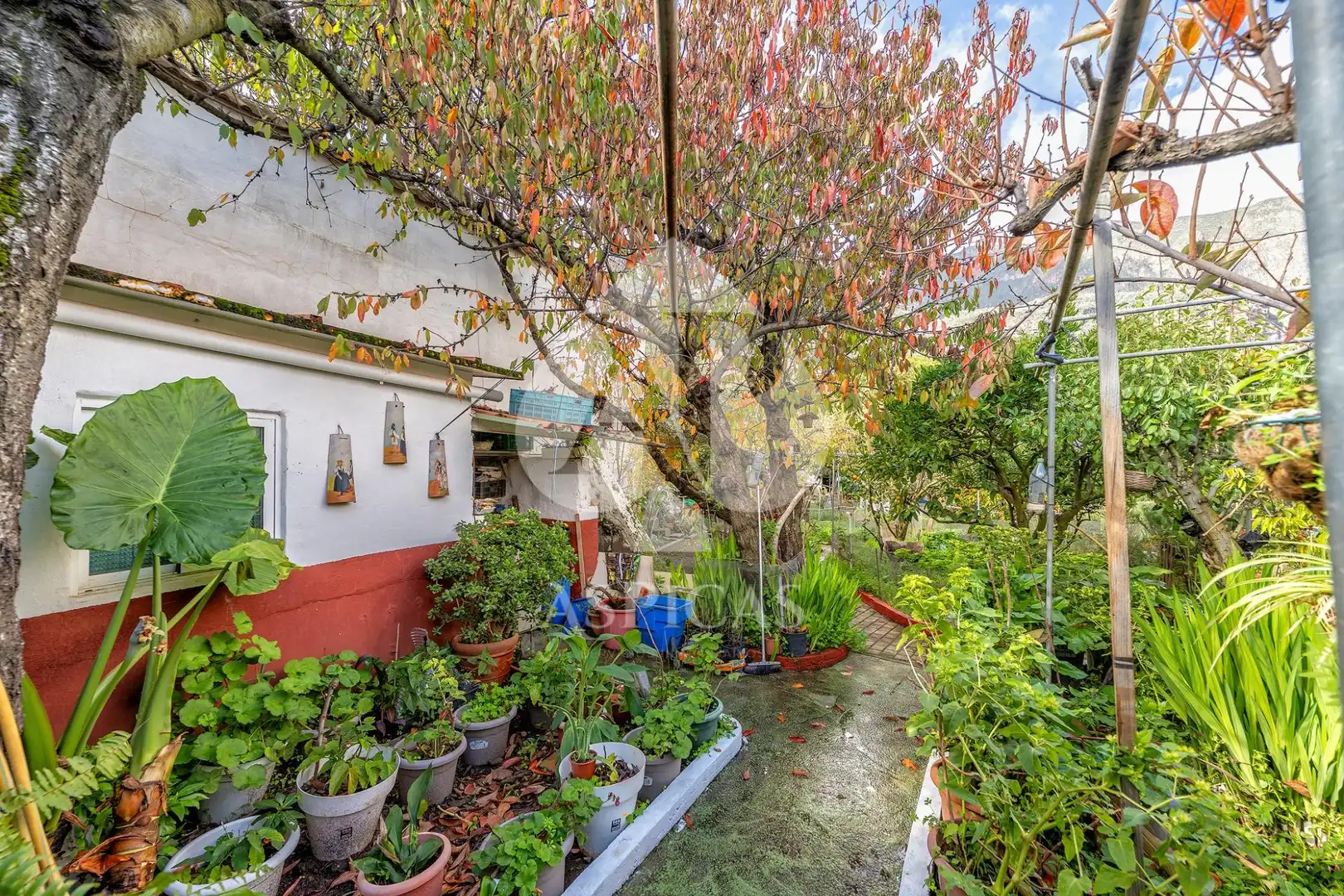 Casa rústica amb jardí en venda a Calle Los Parrales 12, imagen 18
