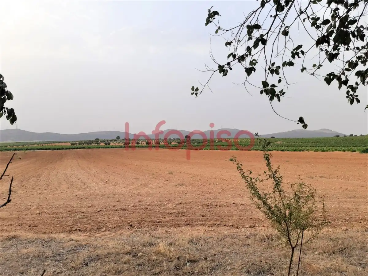Casa rústica amb piscina en venda a Valdepeñas, imagen 9