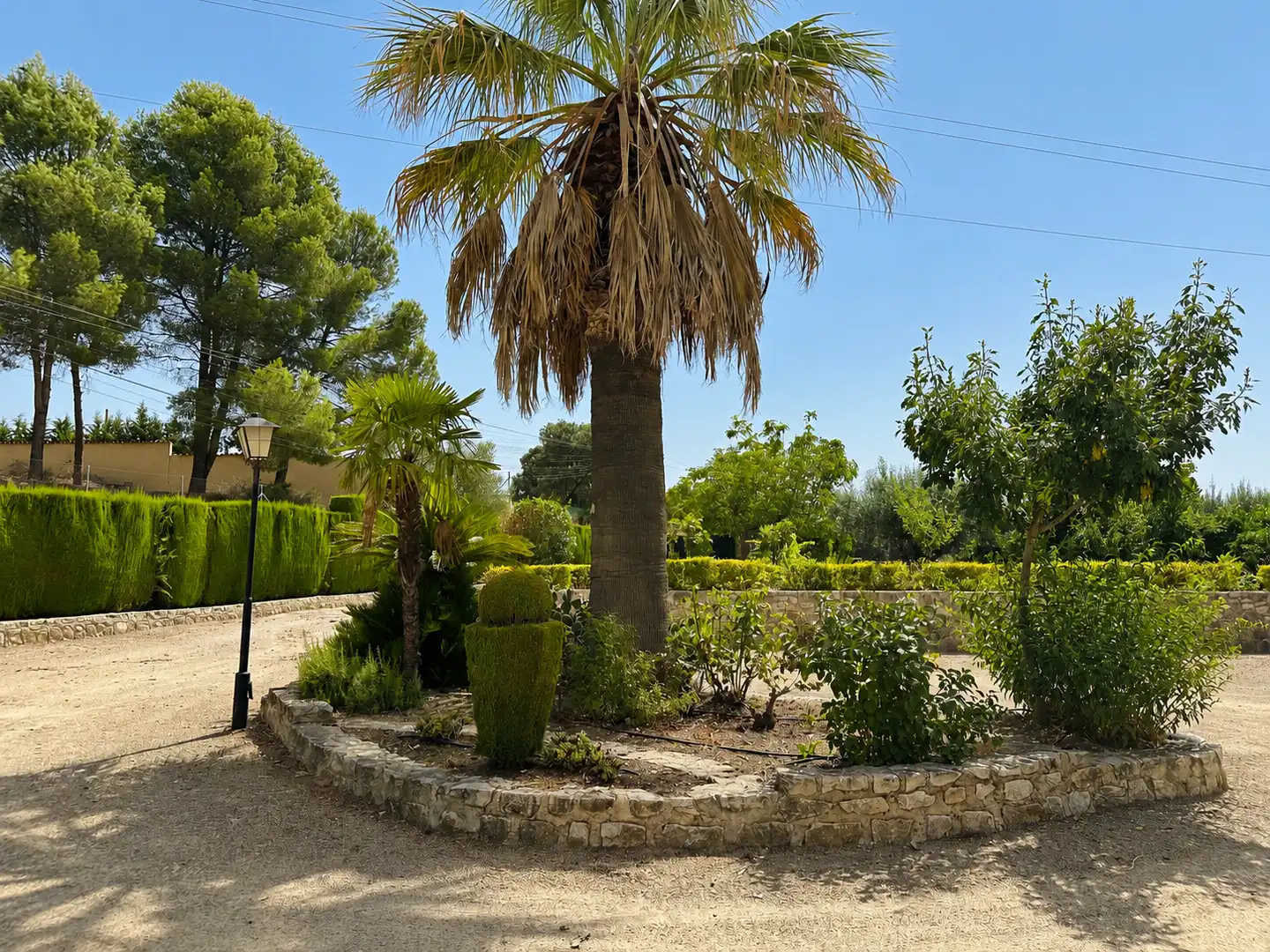 Maison avec jardin à vendre à El Pilar, imagen 18