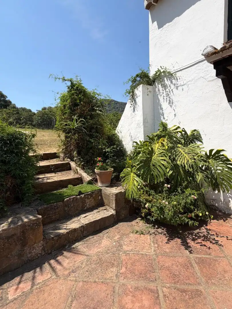 Jardí de Finca rústica en venda en Gaucín amb Jardí privat, Terrassa i Piscina