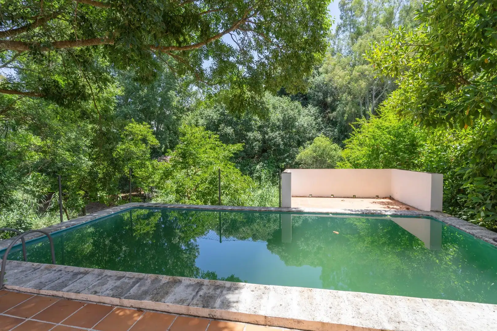 Swimming pool of Houses for sale in Alhaurín El Grande  with Private garden, Terrace and Storage room