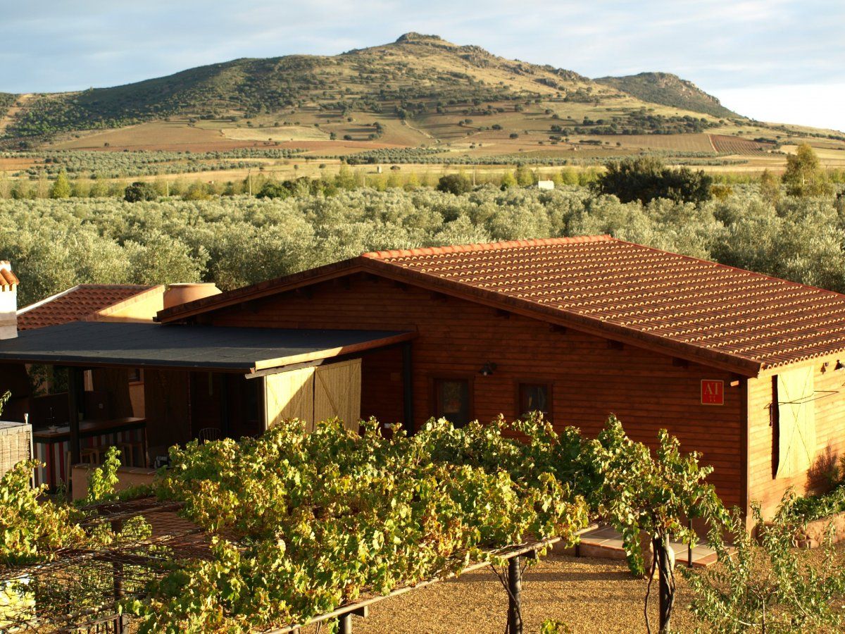 Finca rústica en venda en Fuente el Fresno amb Aire condicionat, Calefacció i Jardí privat