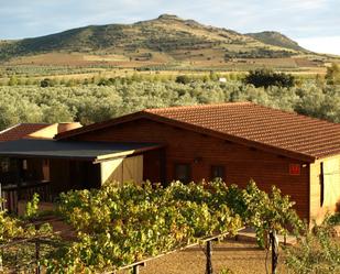 Finca rústica en venda en Fuente el Fresno amb Aire condicionat, Terrassa i Piscina