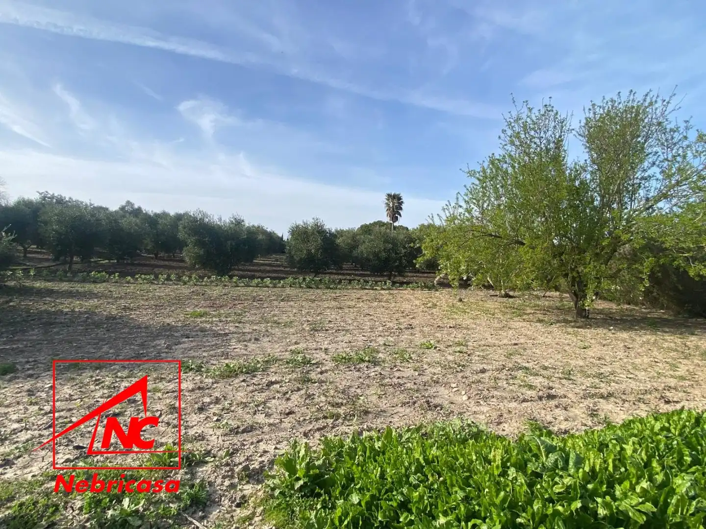 Finca rústica en venta en Las Cabezas de San Juan