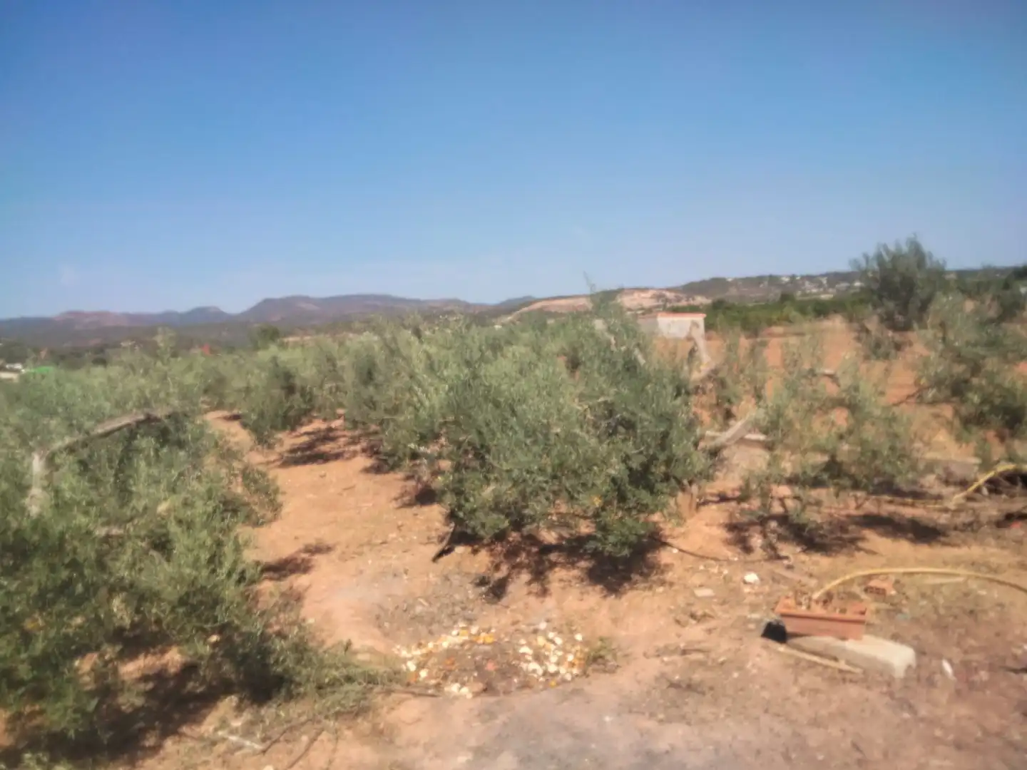 Finca rústica en venda en Marines amb Terrassa
