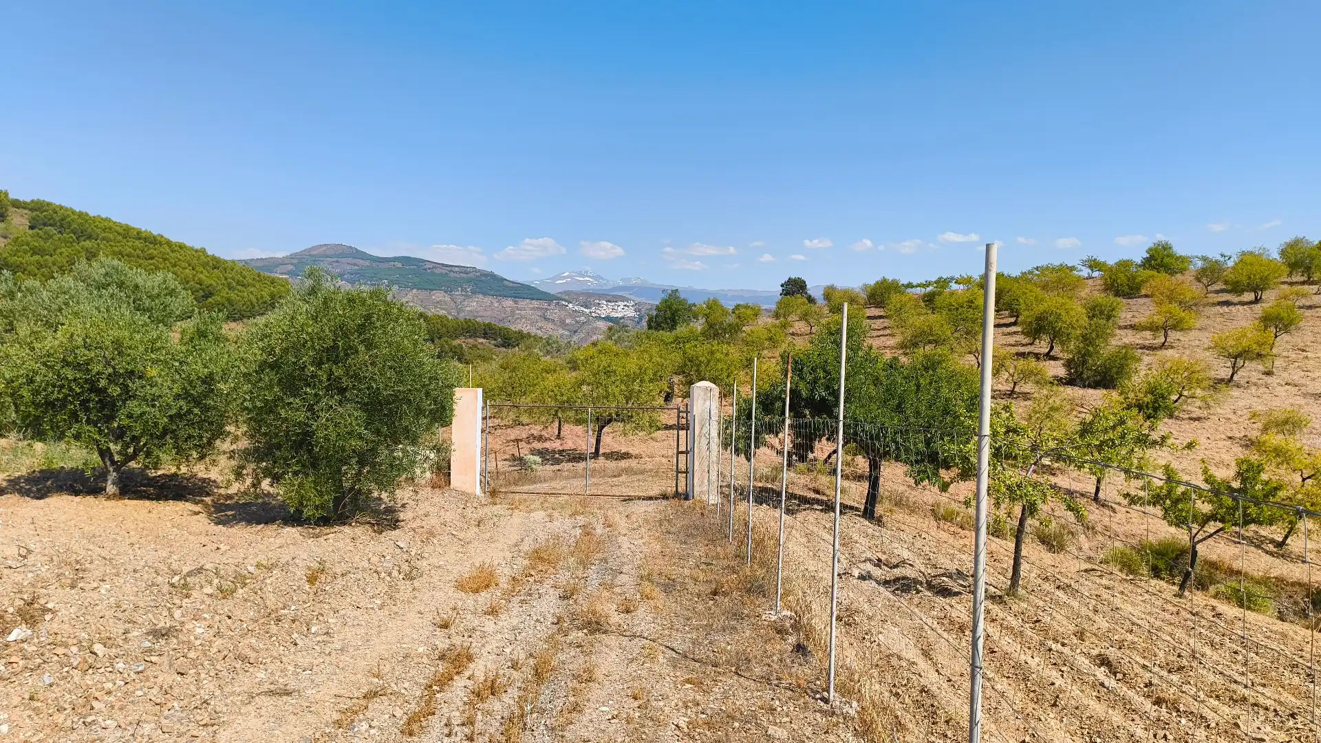 Finca rústica en venda en Turón amb Jardí privat