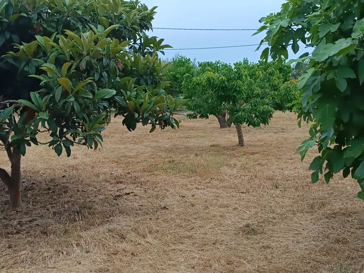 Terreno residencial en venta en Carrer Reus, imagen 4