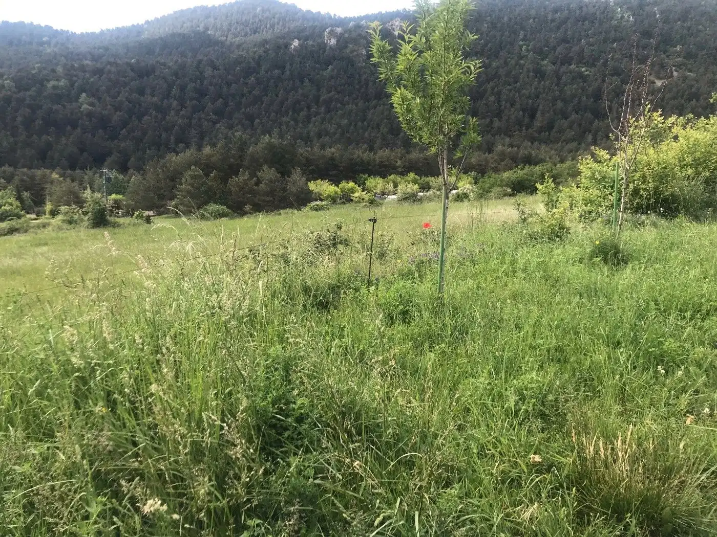 Wohnbaugrundstück zum Verkauf in Berga, imagen 19