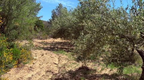 Photo 3 of Residential for sale in Vespella de Gaià, Tarragona