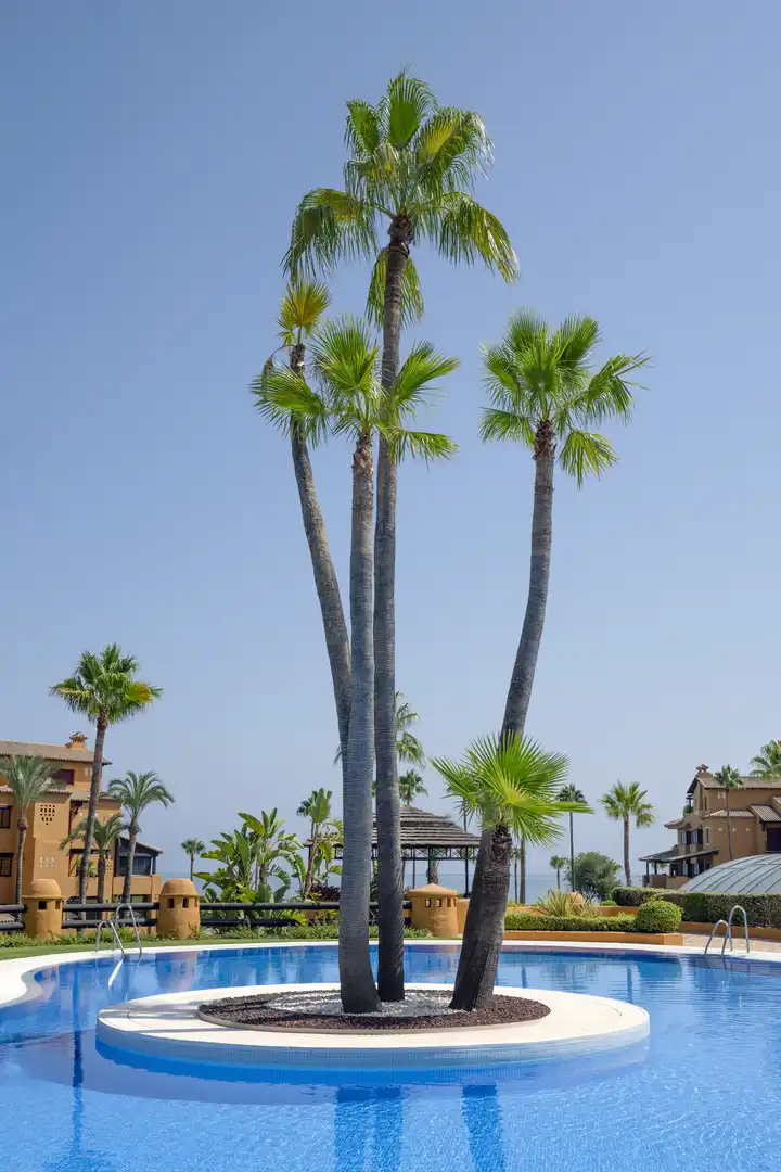 Apartament amb piscina en venda a Punta Plata, imagen 18