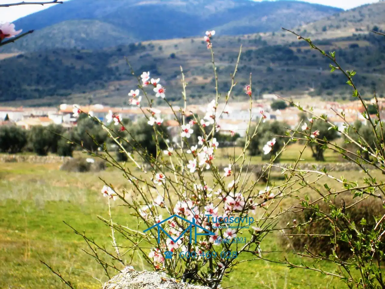 Terreni e lotti in vendita a Cebreros, imagen 28