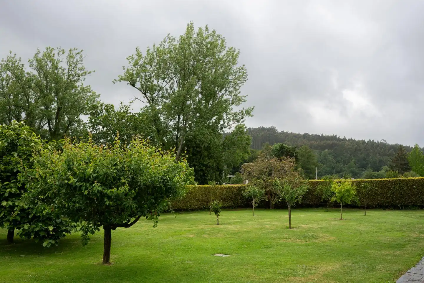 Garden of Houses for sale in Bergondo  with Heating, Private garden and Swimming Pool