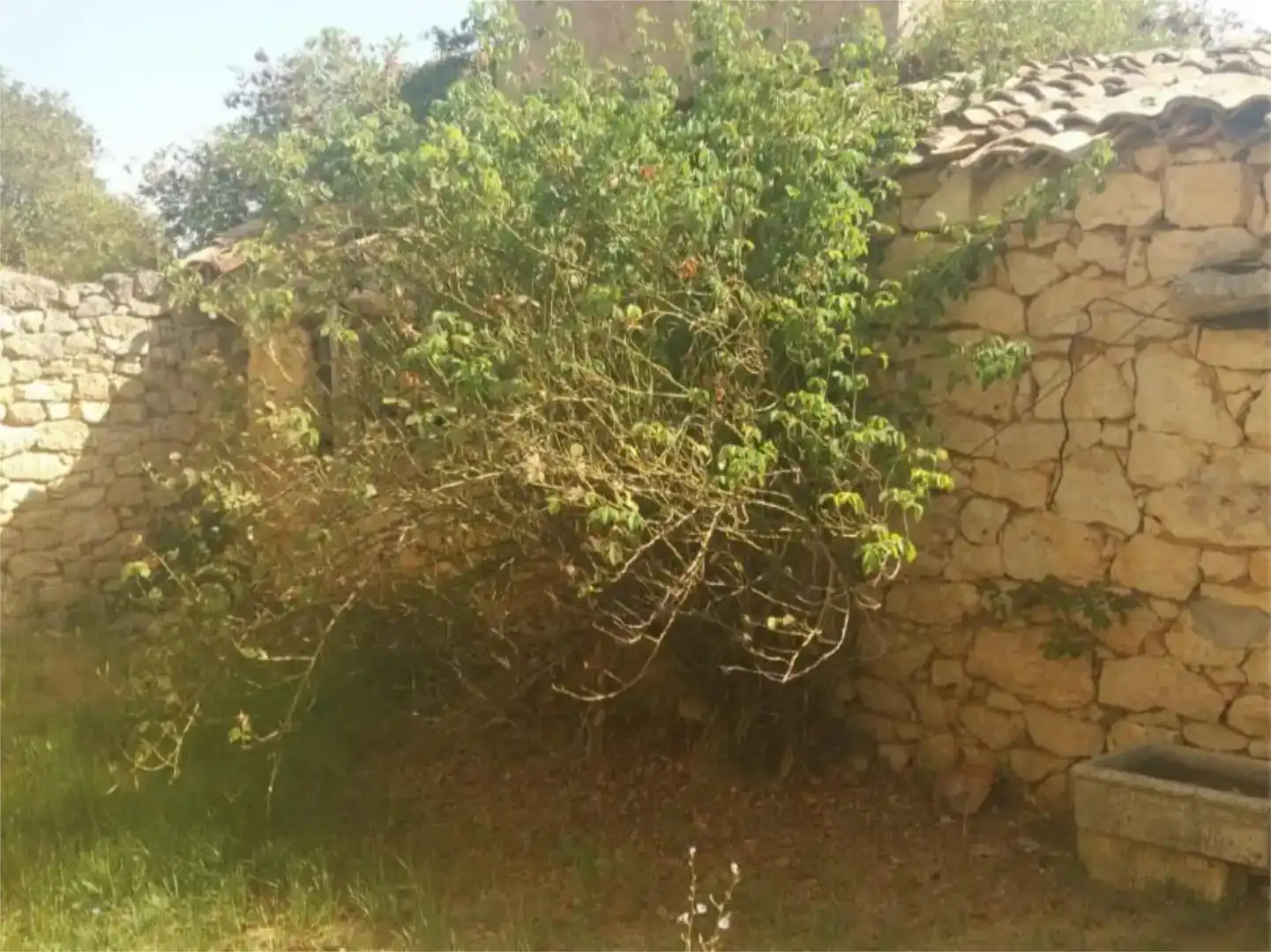 Finca rústica en venta en Cilleruelo de Arriba con Amueblado