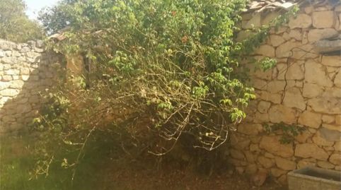 Foto 4 de Finca rústica en venta en Calle Real, 61, Cilleruelo de Arriba, Burgos