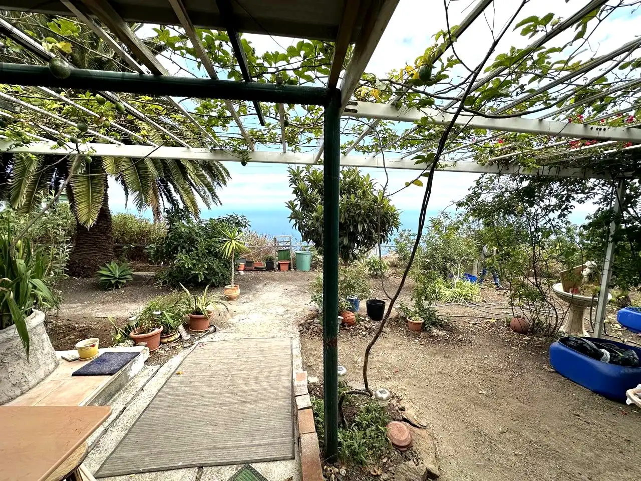 Garten von Country house zur Miete in El Genovés mit Privatgarten, Terrasse und Möbliert