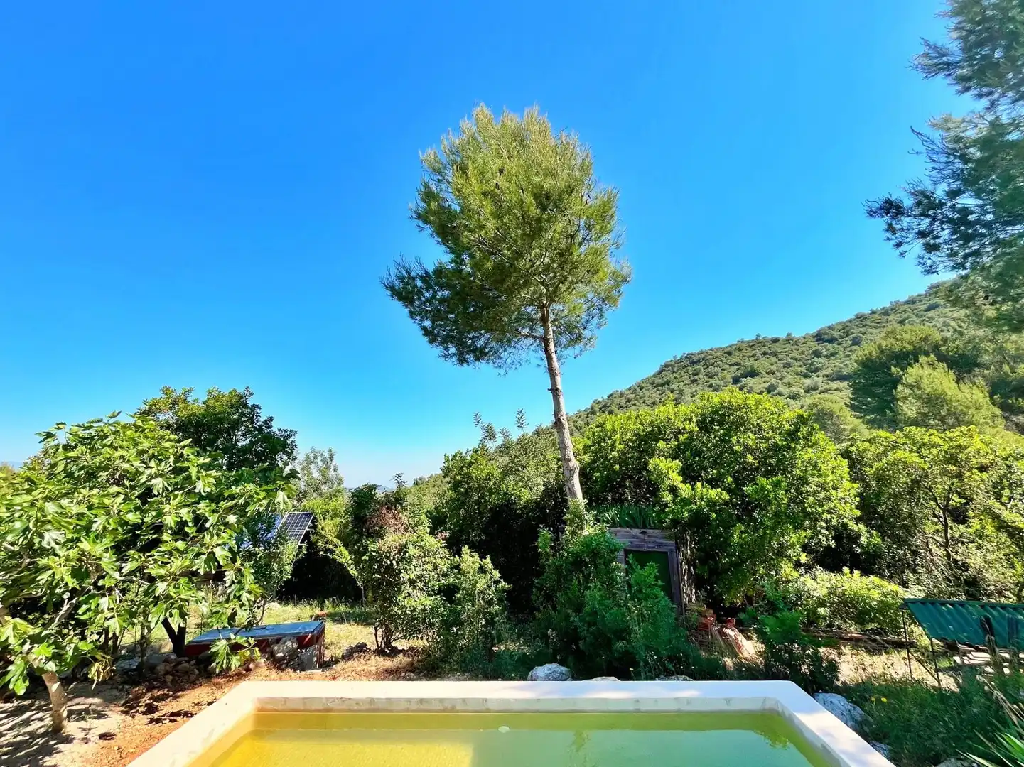 Villa in vendita a Freginals, imagen 21