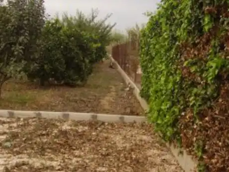 Terreny rústic en venda a Ribera de Molina - Torrealta, imagen 11