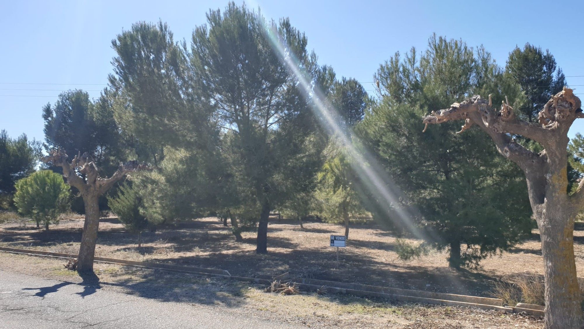 Residential for sale in Beneixama
