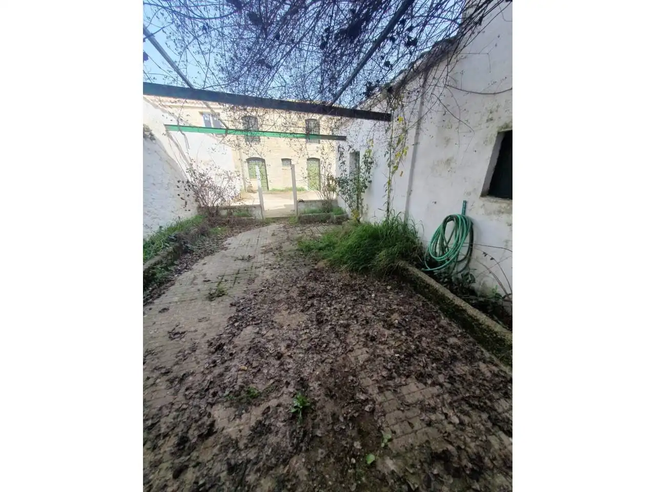 Adossat amb jardí en venda a Sabiote, imagen 16