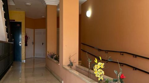 Foto 2 de Planta baixa en venda a Arenal - La Pólvora, Dos Hermanas