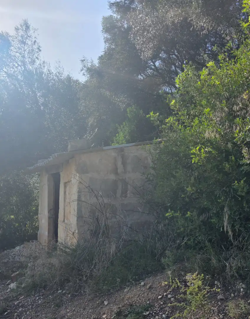Rustikales Grundstück zum Verkauf in Camí de Son Dalmau 2, imagen 6