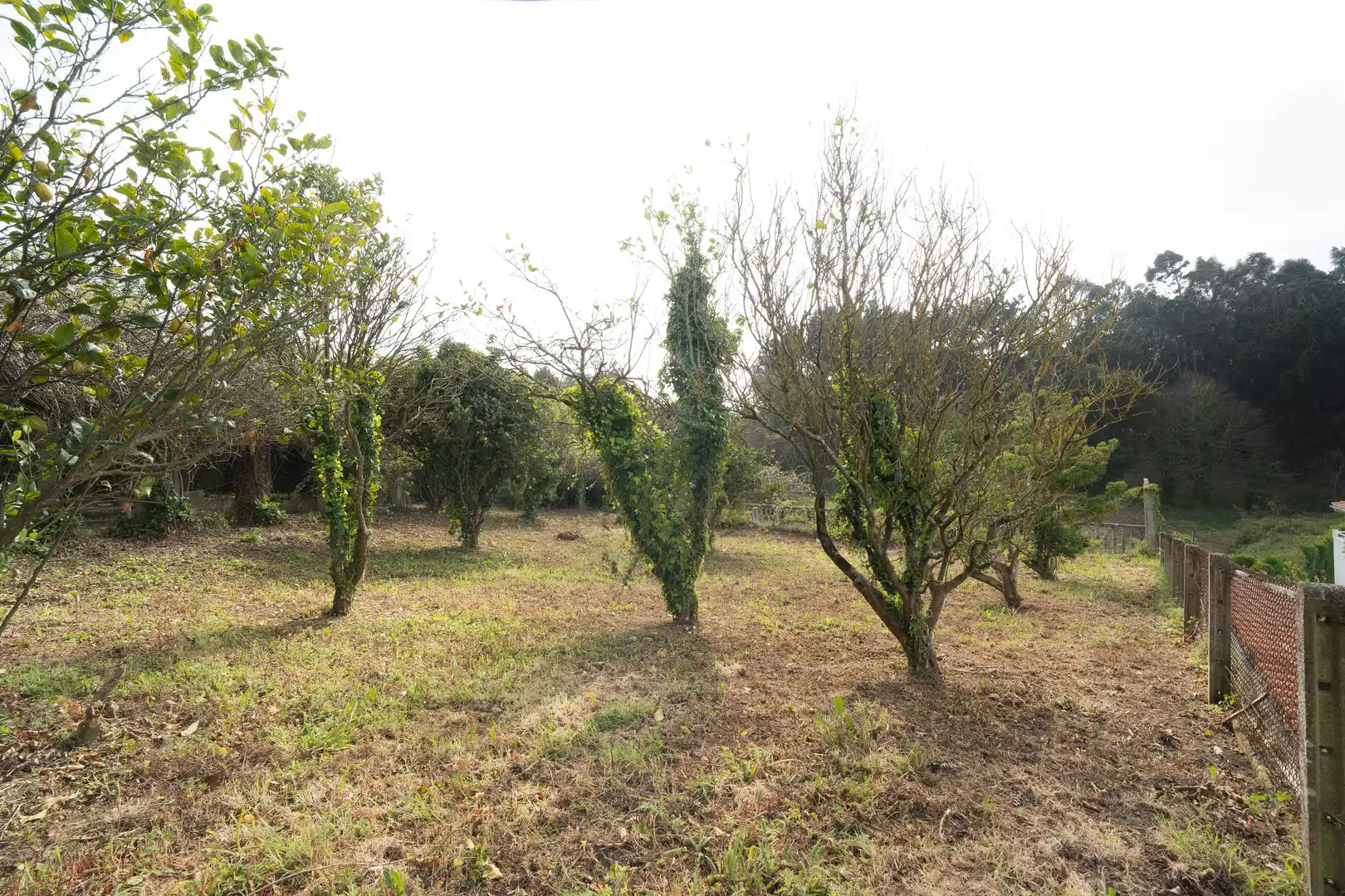 Residencial en venda en Oleiros