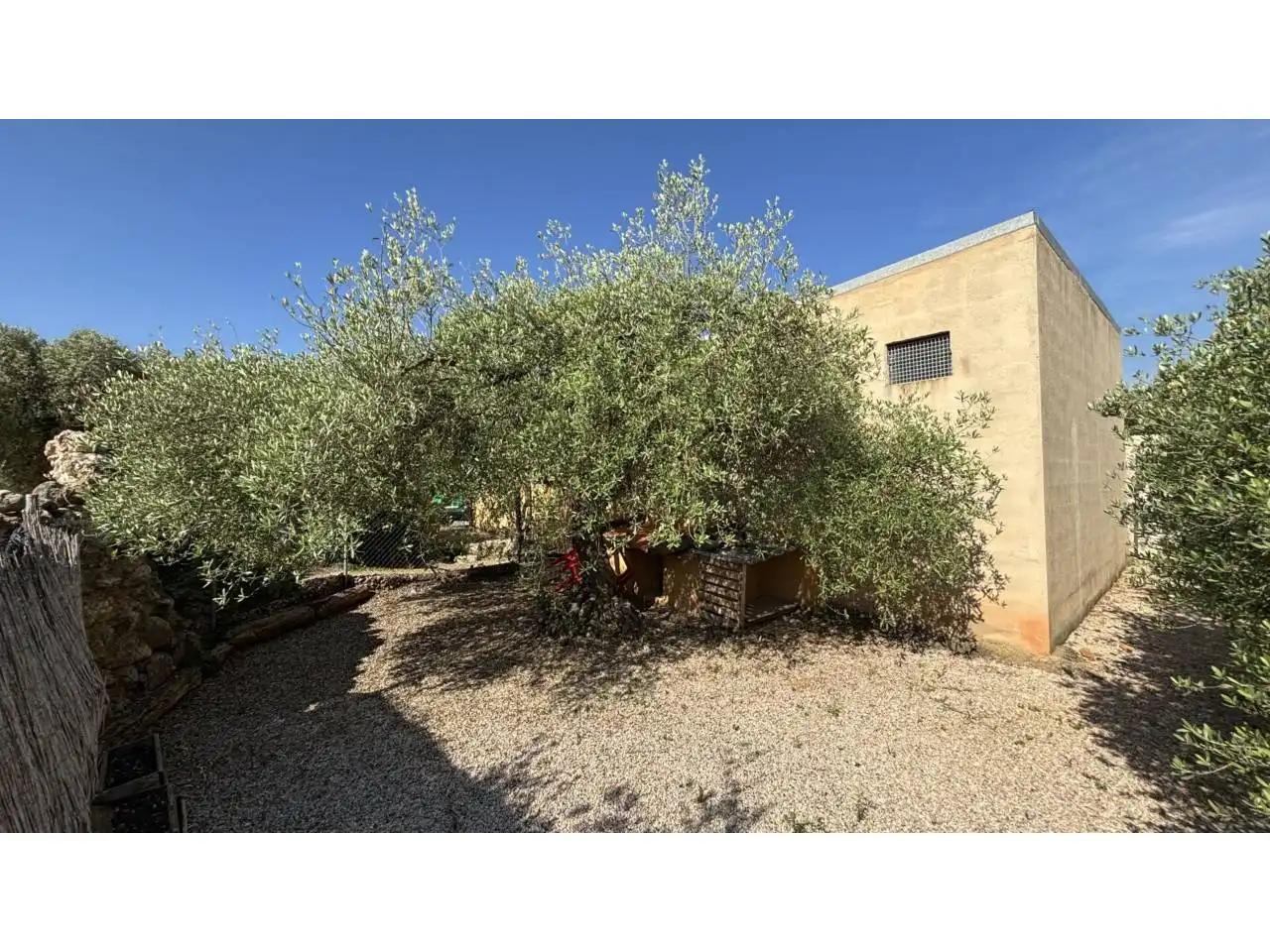 Rural land for sale in Canet lo Roig, imagen 2